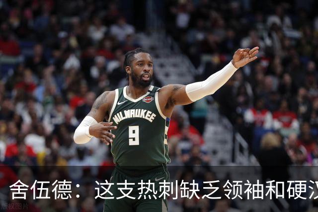 舍伍德：这支热刺缺乏领袖和硬汉，已经很久没有一笔像样的引援了